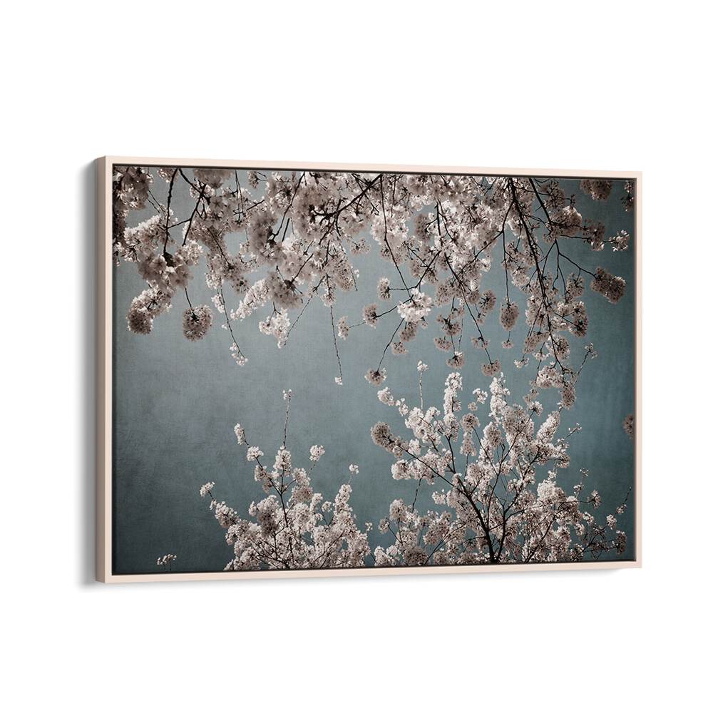 Elegant MOODY SPRING, FLORAL FLOWER PAINTINGS capture the essence of spring with dreamy floral compositions.