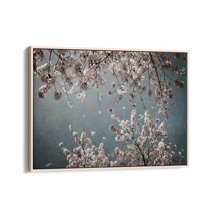 Elegant MOODY SPRING, FLORAL FLOWER PAINTINGS capture the essence of spring with dreamy floral compositions.