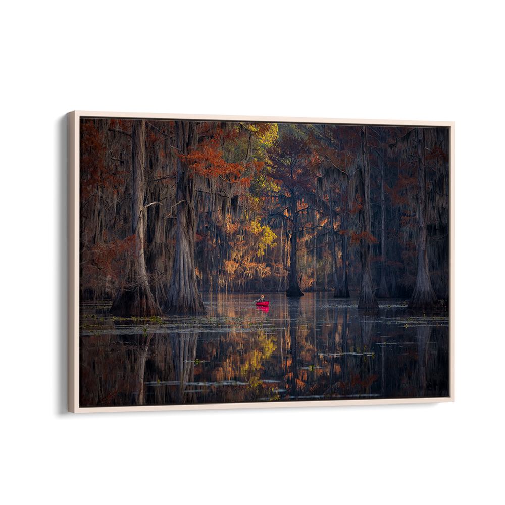 Serene scene of Caddo Lake, perfect for nature lovers. Discover CADDO LAKE 2023, PHOTOGRAPHY PRINTS today!