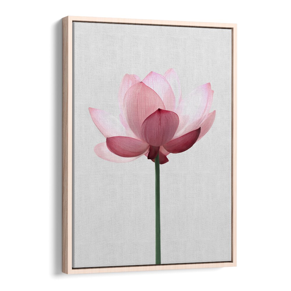 Elegant LOTUS FLOWER, FLORAL FLOWER PAINTINGS, adding tranquility and beauty to your home decor. Perfect for any space.