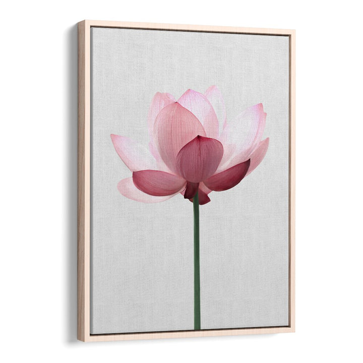 Elegant LOTUS FLOWER, FLORAL FLOWER PAINTINGS, adding tranquility and beauty to your home decor. Perfect for any space.