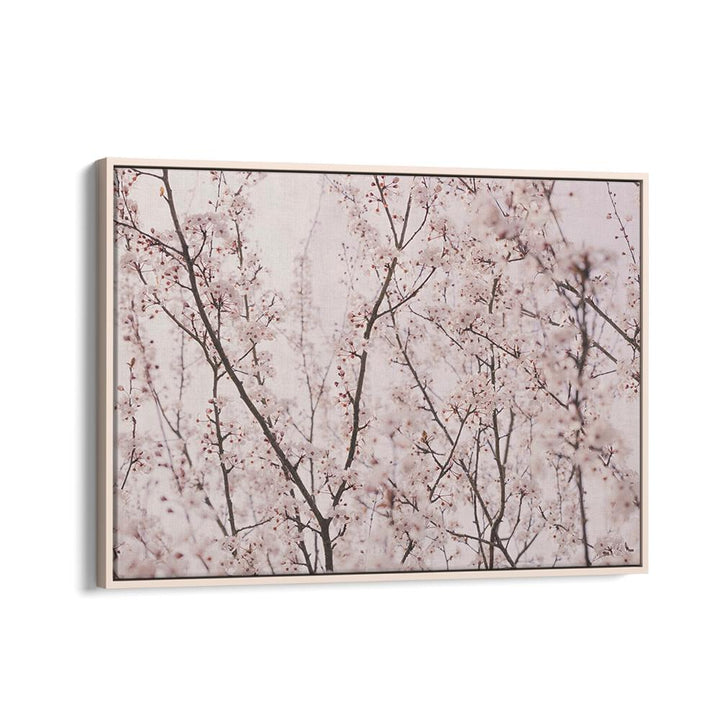 Delicate SPRING BLOSSOMS, FLORAL FLOWER PAINTINGS bring a refreshing essence of spring to your space with vibrant beauty.