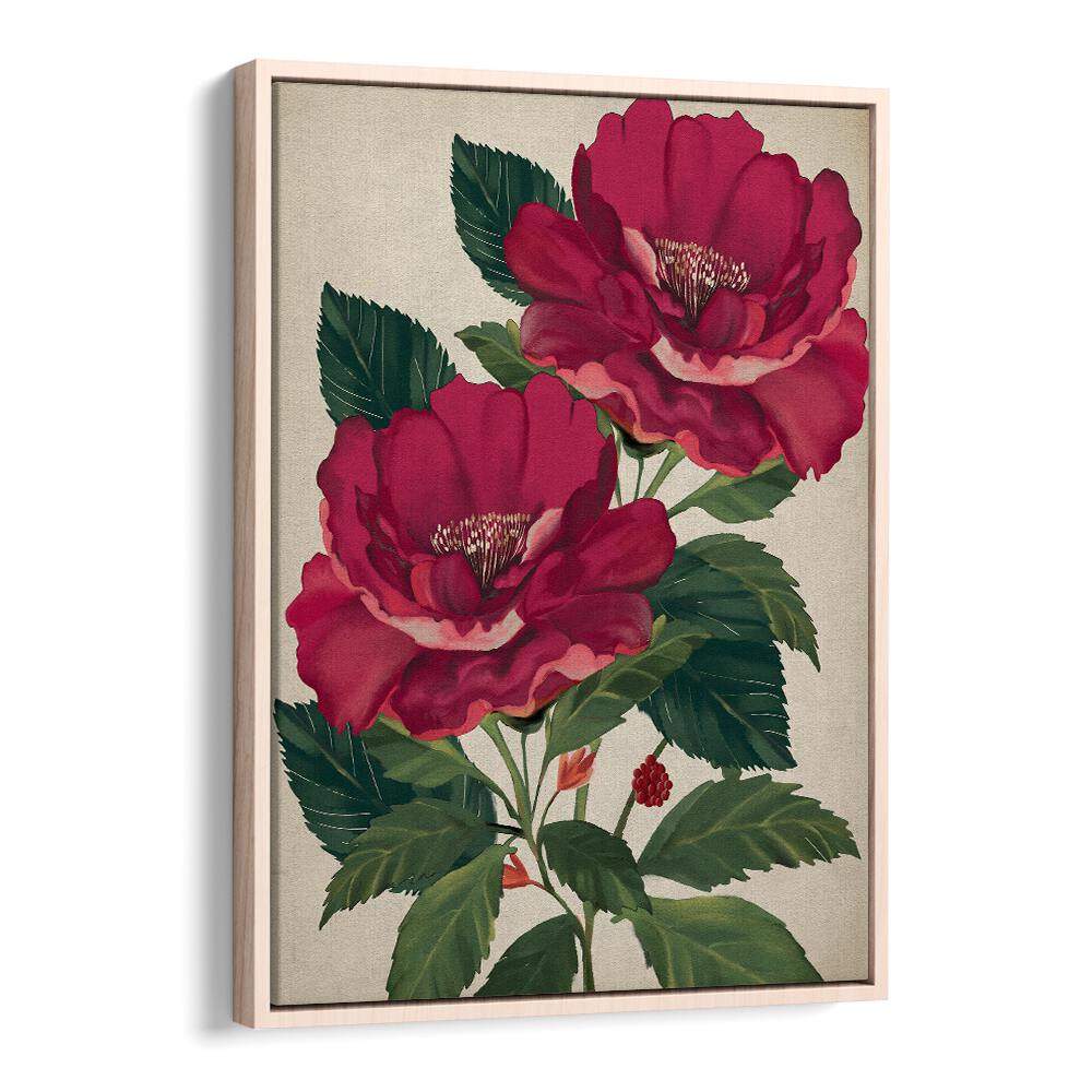 Stunning ROSE OF PROVIDENCE, FLORAL FLOWER PAINTINGS elevate any space with elegance and beauty. Perfect for gifts!