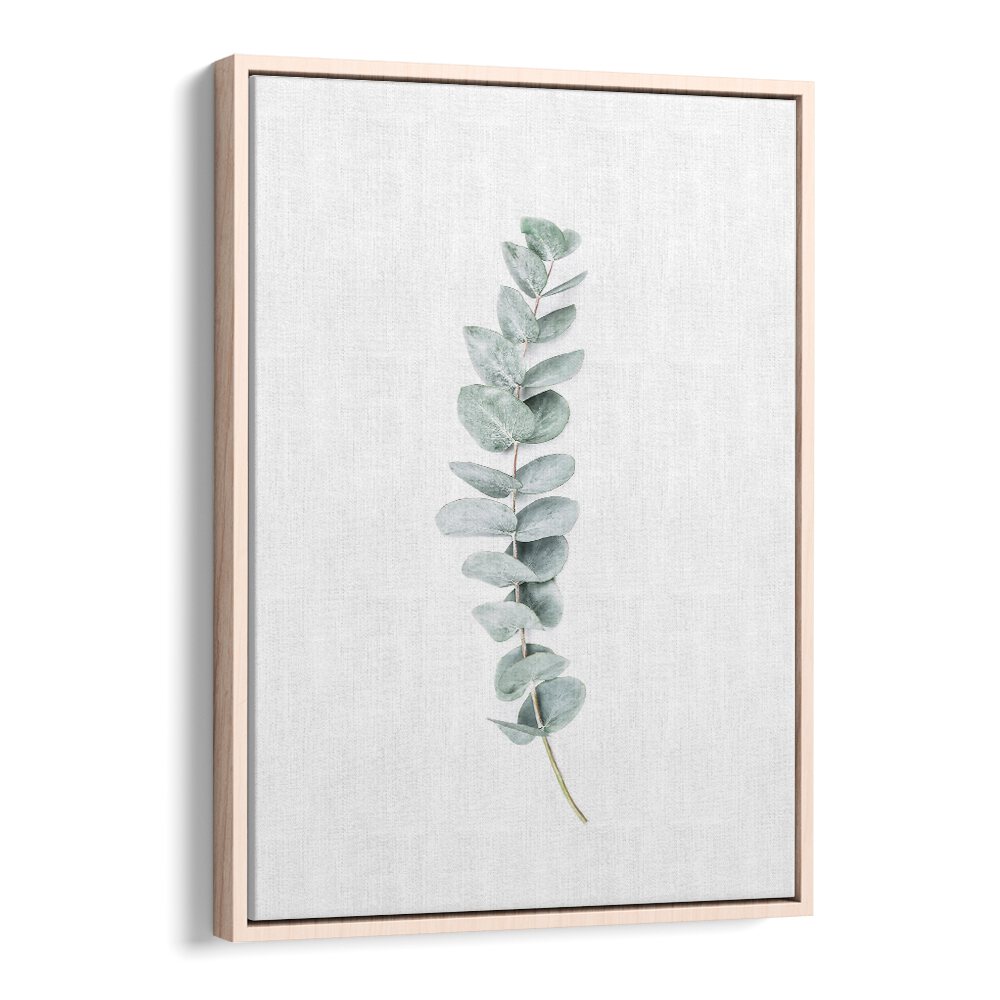 EUCALYPTUS II, FLORAL FLOWER PAINTINGS feature calming eucalyptus leaves, perfect for enhancing your tranquil space.
