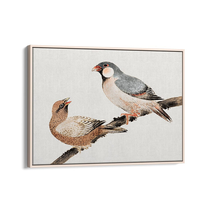 BIRDS FROM ALBUM OF SKETCHES (1814) , VINTAGE PAINTINGS