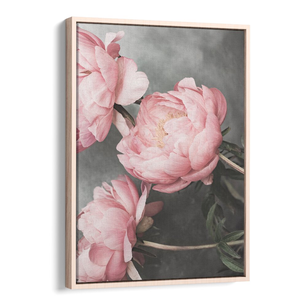 Elegant ROSE II, FLORAL FLOWER PAINTINGS showcasing soft pink blooms, perfect for enhancing any space.