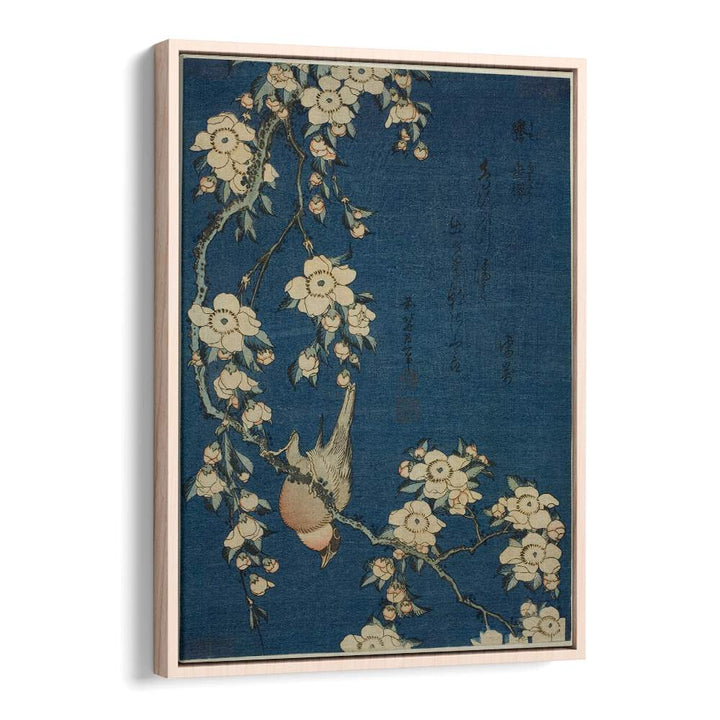 BULLFINCH AND WEEPING CHERRY BLOSSOMS , VINTAGE PAINTINGS
