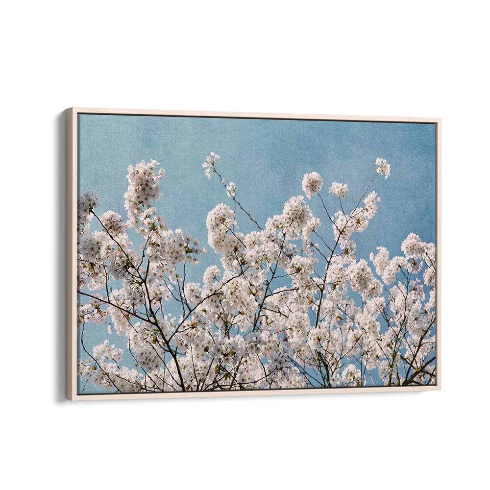 Delicate white flowers bloom against a serene blue sky in the BLUE SKY BLOSSOMS, FLORAL FLOWER PAINTINGS collection.
