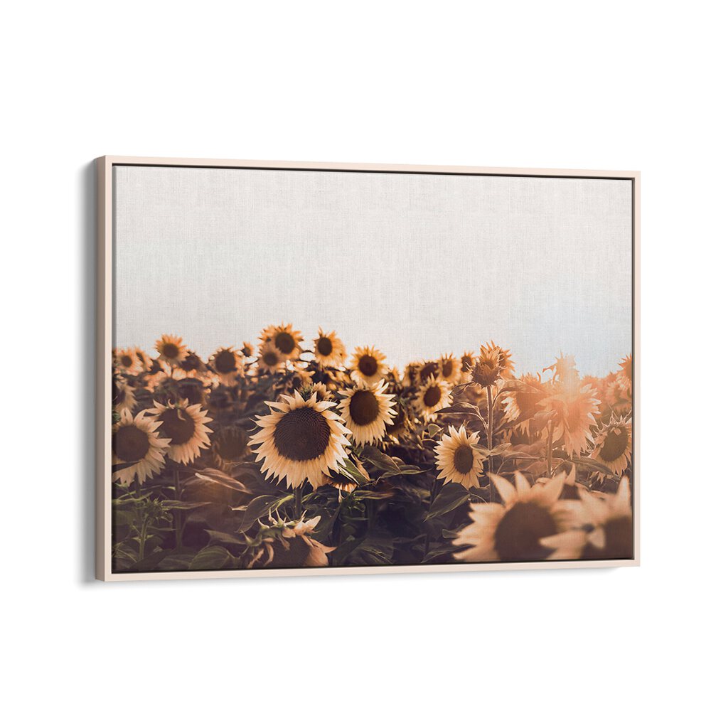 Vibrant SUNFLOWERS II, FLORAL FLOWER PAINTINGS, perfect for adding warmth and positivity to any space.