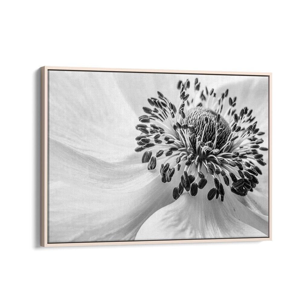 Stunning ANEMONE, FLORAL FLOWER PAINTINGS artwork, perfect for enhancing your home's decor and elegance.