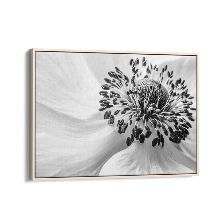 Stunning ANEMONE, FLORAL FLOWER PAINTINGS artwork, perfect for enhancing your home's decor and elegance.