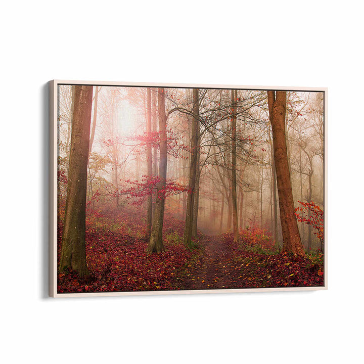 FOREST SCENE. , PHOTOGRAPHY PRINTS