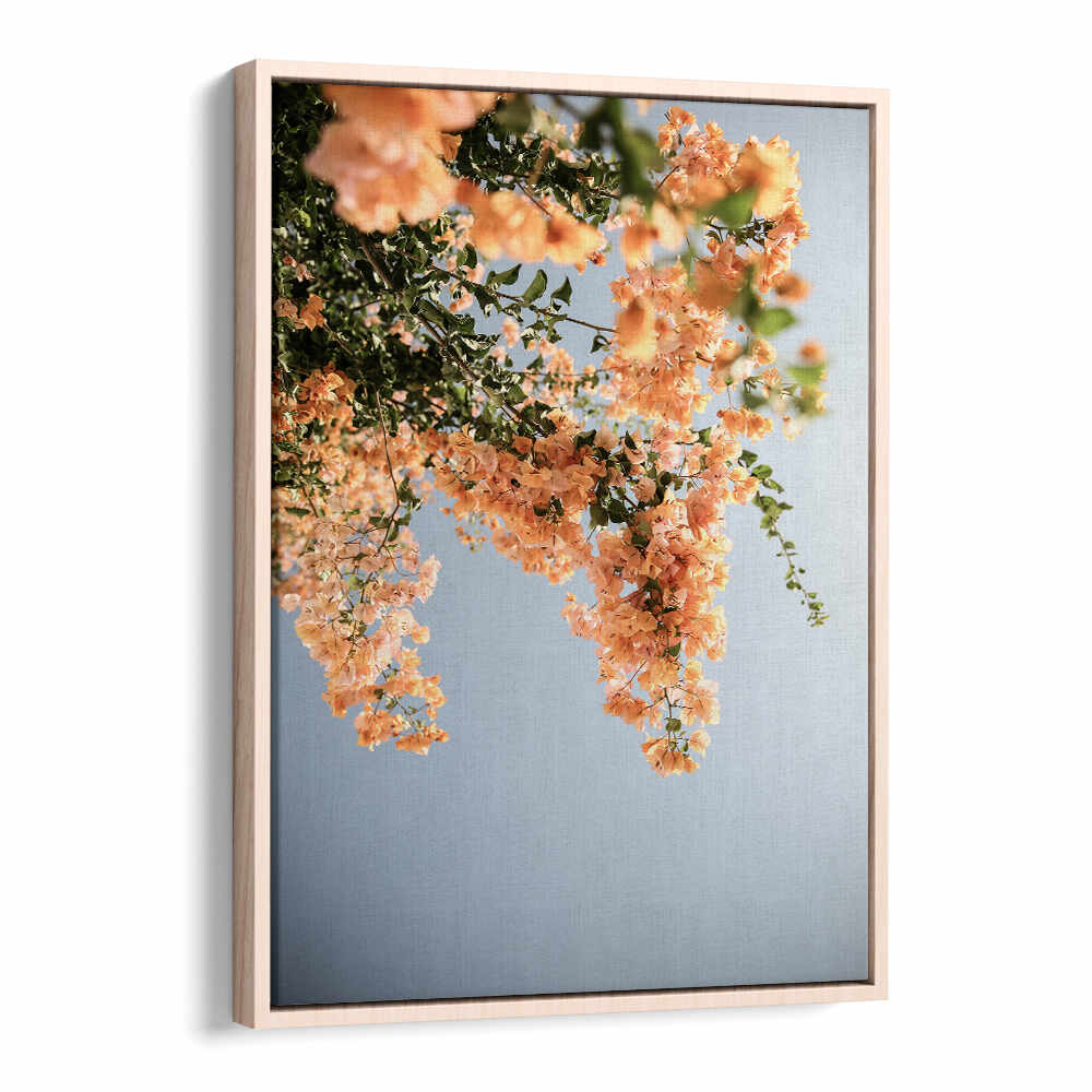 Oakwood GOLDEN BLOSSOM DANCE , FLORAL FLOWER PAINTINGS — peach blossom branches on blue canvas in light wood frame
