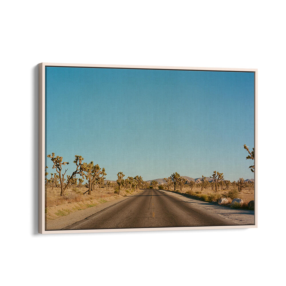 JOSHUA TREE ROAD , PHOTOGRAPHY PRINTS