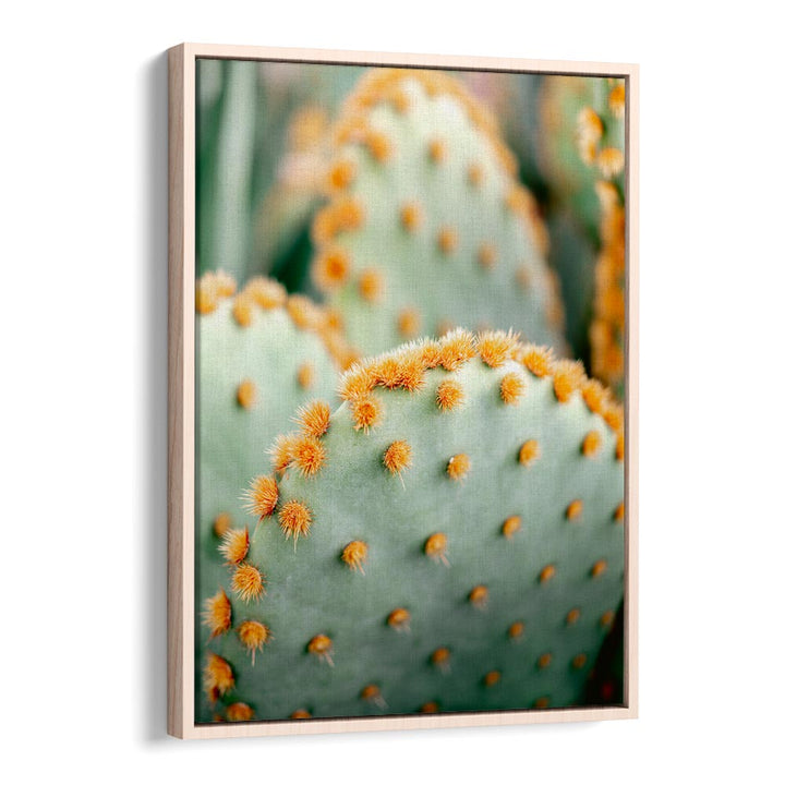 ORANGE AND GREEN II , PHOTOGRAPHY PRINTS