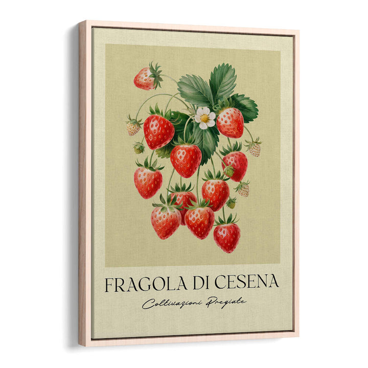 FRAGOLA DI CESENA , FLORAL FLOWER PAINTINGS