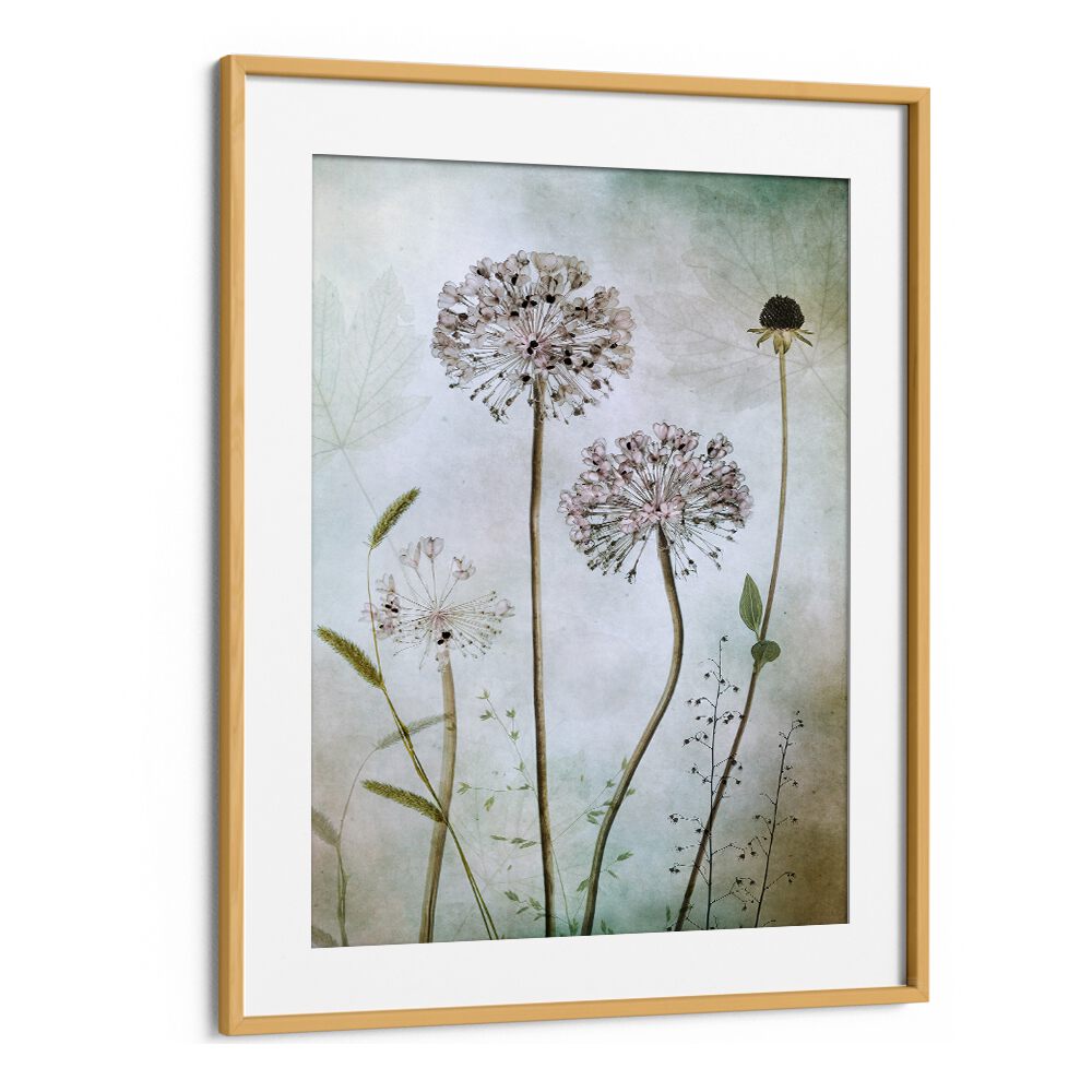 Elegant ALLIUM, FLORAL FLOWER PAINTINGS enhance home decor with sophistication and charm. Perfect for any room's ambiance.