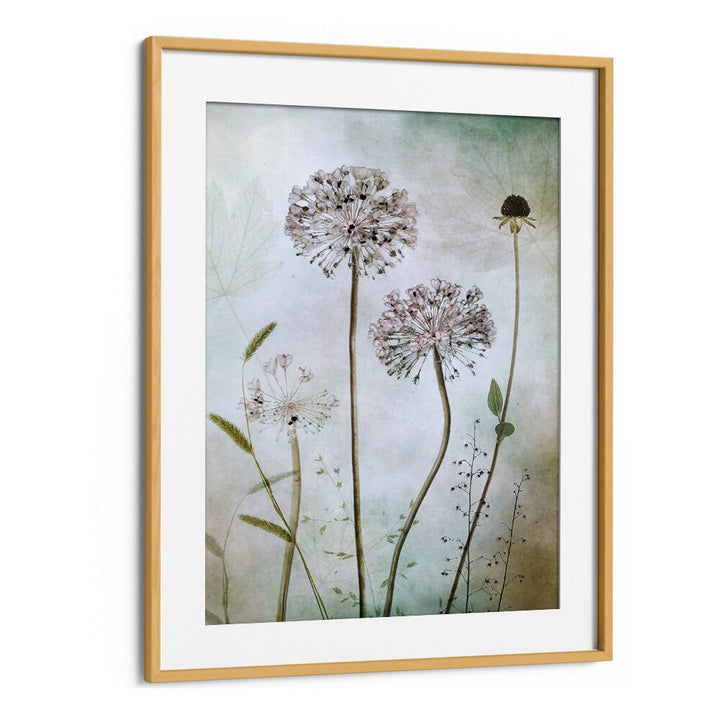 Elegant ALLIUM, FLORAL FLOWER PAINTINGS enhance home decor with sophistication and charm. Perfect for any room's ambiance.