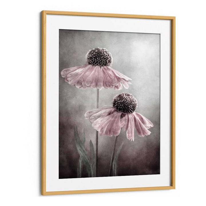 Elegant DUET, FLORAL FLOWER PAINTINGS showcase soft pink blooms in a stylish frame, perfect for premium home decor.