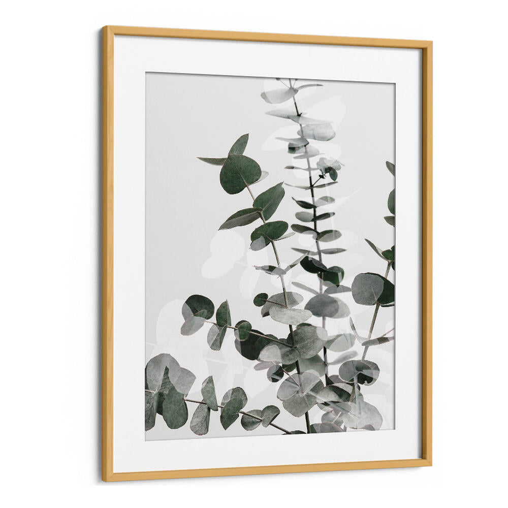 EUCALYPTUS CREATIVE VI, FLORAL FLOWER PAINTINGS showcase vibrant eucalyptus leaves, adding natural beauty to your space.
