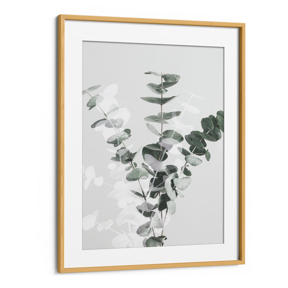 Elegant EUCALYPTUS CREATIVE VII, FLORAL FLOWER PAINTINGS showcasing abstract foliage for a vibrant living space.