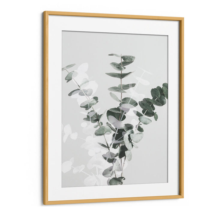 Elegant EUCALYPTUS CREATIVE VII, FLORAL FLOWER PAINTINGS showcasing abstract foliage for a vibrant living space.