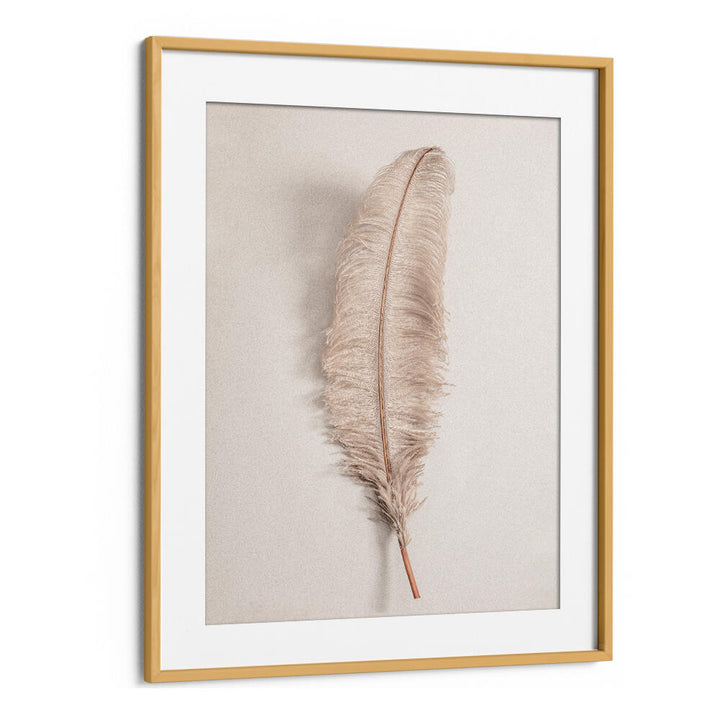 Elegant FEATHER II, BOHO ART PAINTINGS showcase a delicate feather framed in a chic gold border for stylish decor.