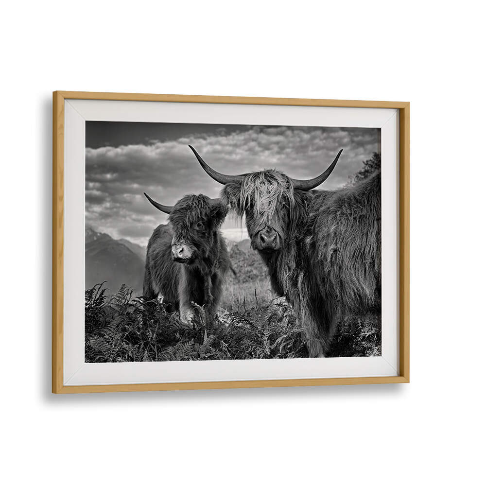 FRIENDS , PHOTOGRAPHY PRINTS