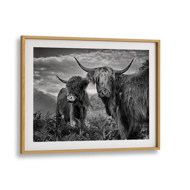 FRIENDS , PHOTOGRAPHY PRINTS