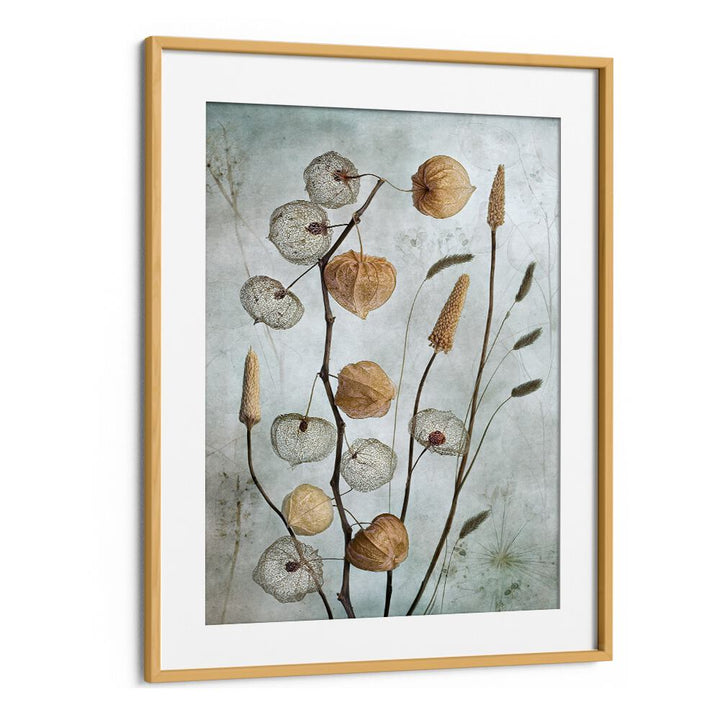 Stylish LANTERNS, FLORAL FLOWER PAINTINGS, perfect for enhancing outdoor ambiance and gatherings.