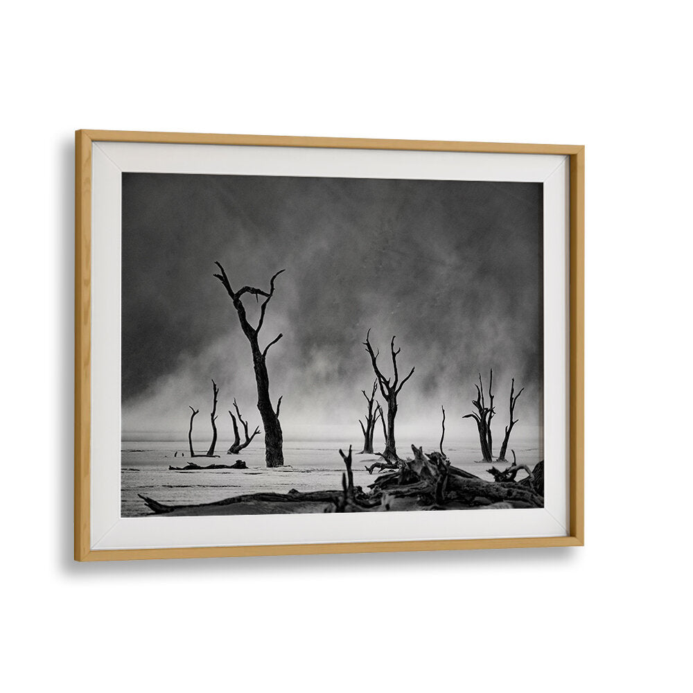 NAMIBIA - THE SPIRIT OF WILDERNESS III , PHOTOGRAPHY PRINTS