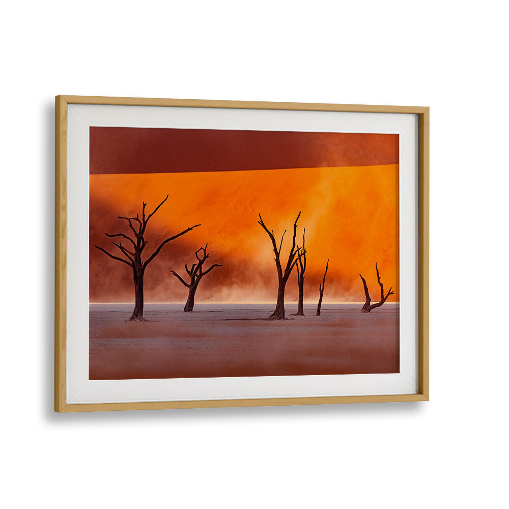 NAMIBIA - THE SPIRIT OF WILDERNESS II , PHOTOGRAPHY PRINTS