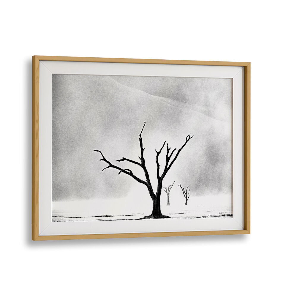 NAMIBIA - THE SPIRIT OF WILDERNESS I , PHOTOGRAPHY PRINTS