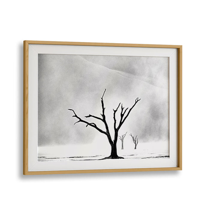 NAMIBIA - THE SPIRIT OF WILDERNESS I , PHOTOGRAPHY PRINTS
