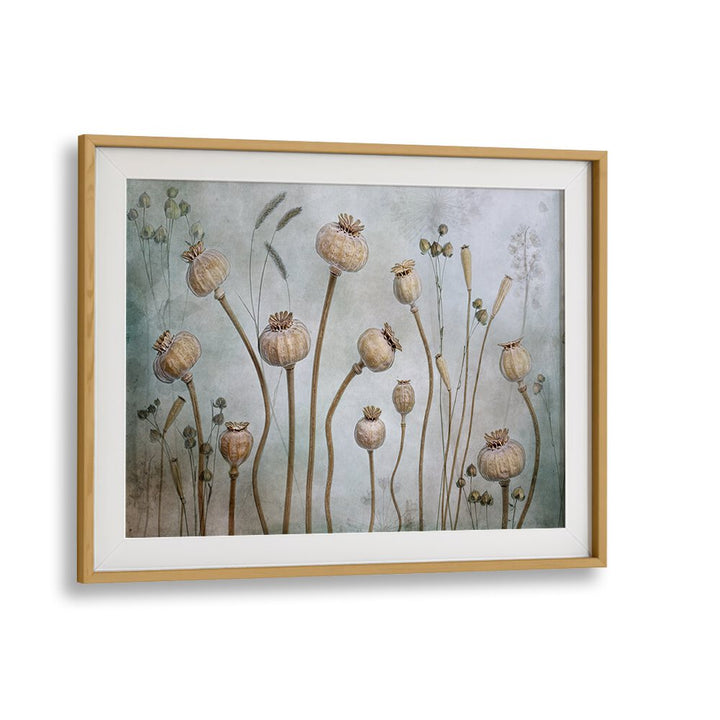 Elegant PAPAVER, FLORAL FLOWER PAINTINGS showcasing unique floral designs for sophisticated home decor.
