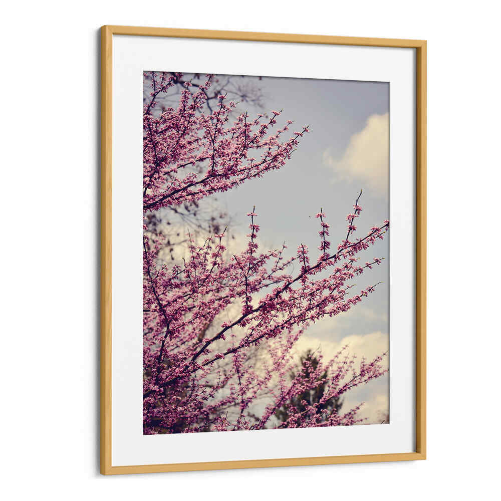 SPRING PHOTOGRAPH , FLORAL FLOWER PAINTINGS