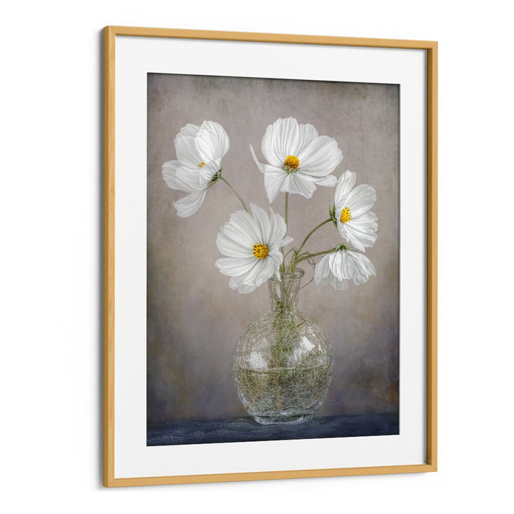 Elegant SIMPLY COSMOS, FLORAL FLOWER PAINTINGS showcasing white flowers in a stylish vase, perfect for home decor.