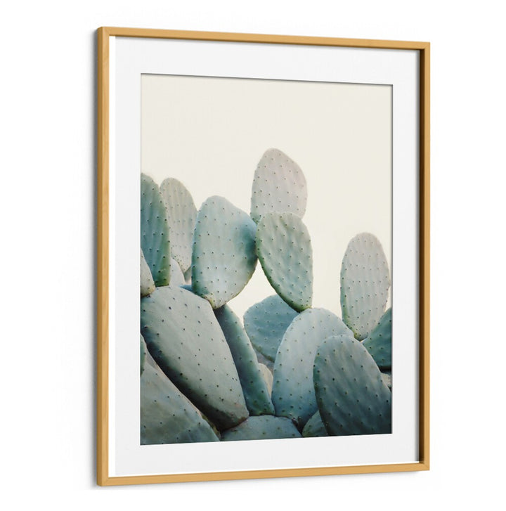 Vibrant PASTEL CACTI, FLORAL FLOWER PAINTINGS, perfect for brightening your home decor with desert charm.