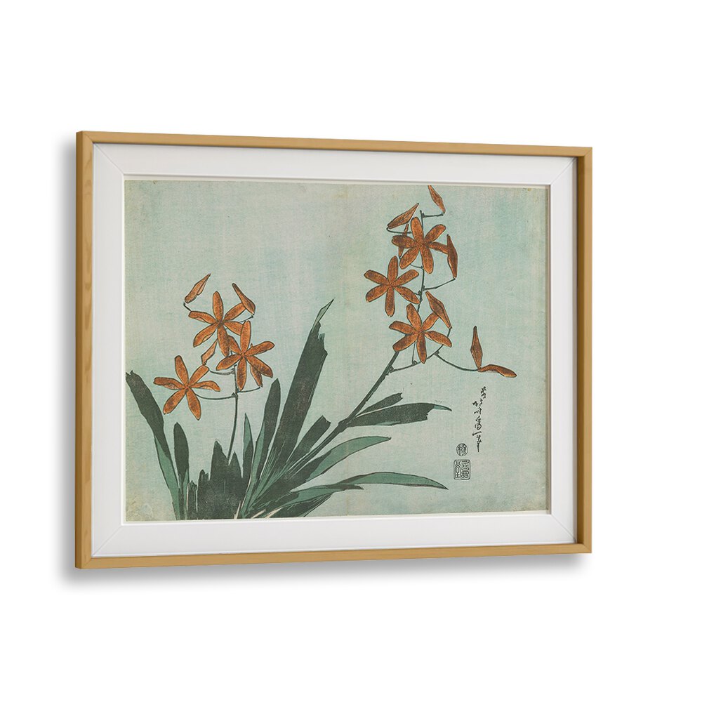 BLACKBERRY LILY , VINTAGE PAINTINGS