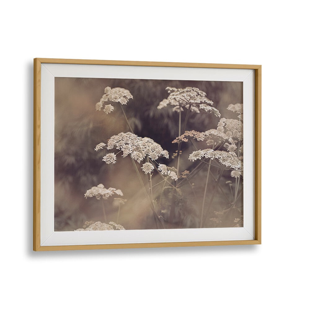 Elegant WILD PARSLEY, FLORAL FLOWER PAINTINGS showcasing delicate blooms, perfect for enhancing any space.
