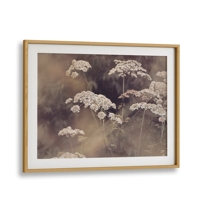 Elegant WILD PARSLEY, FLORAL FLOWER PAINTINGS showcasing delicate blooms, perfect for enhancing any space.