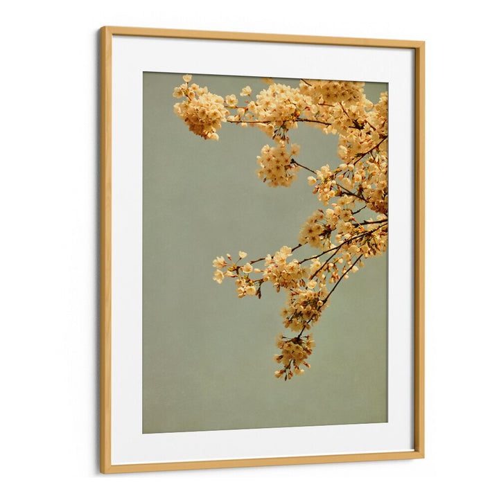 Delicate yellow blossoms framed in a sleek design, perfect for SPRING MORNING, FLORAL FLOWER PAINTINGS enthusiasts.