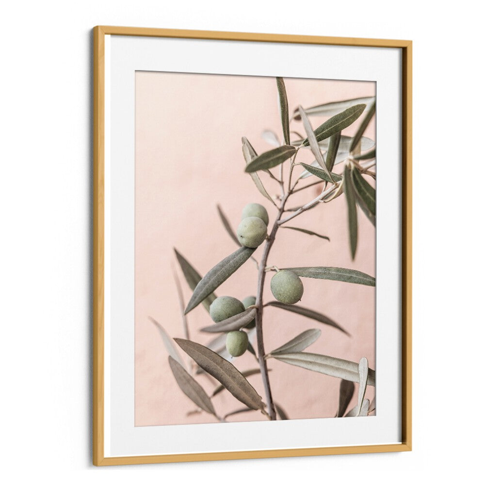 Elegant OLIVES, FLORAL FLOWER PAINTINGS featuring handpicked olives against a soft pink backdrop. Perfect for decor.