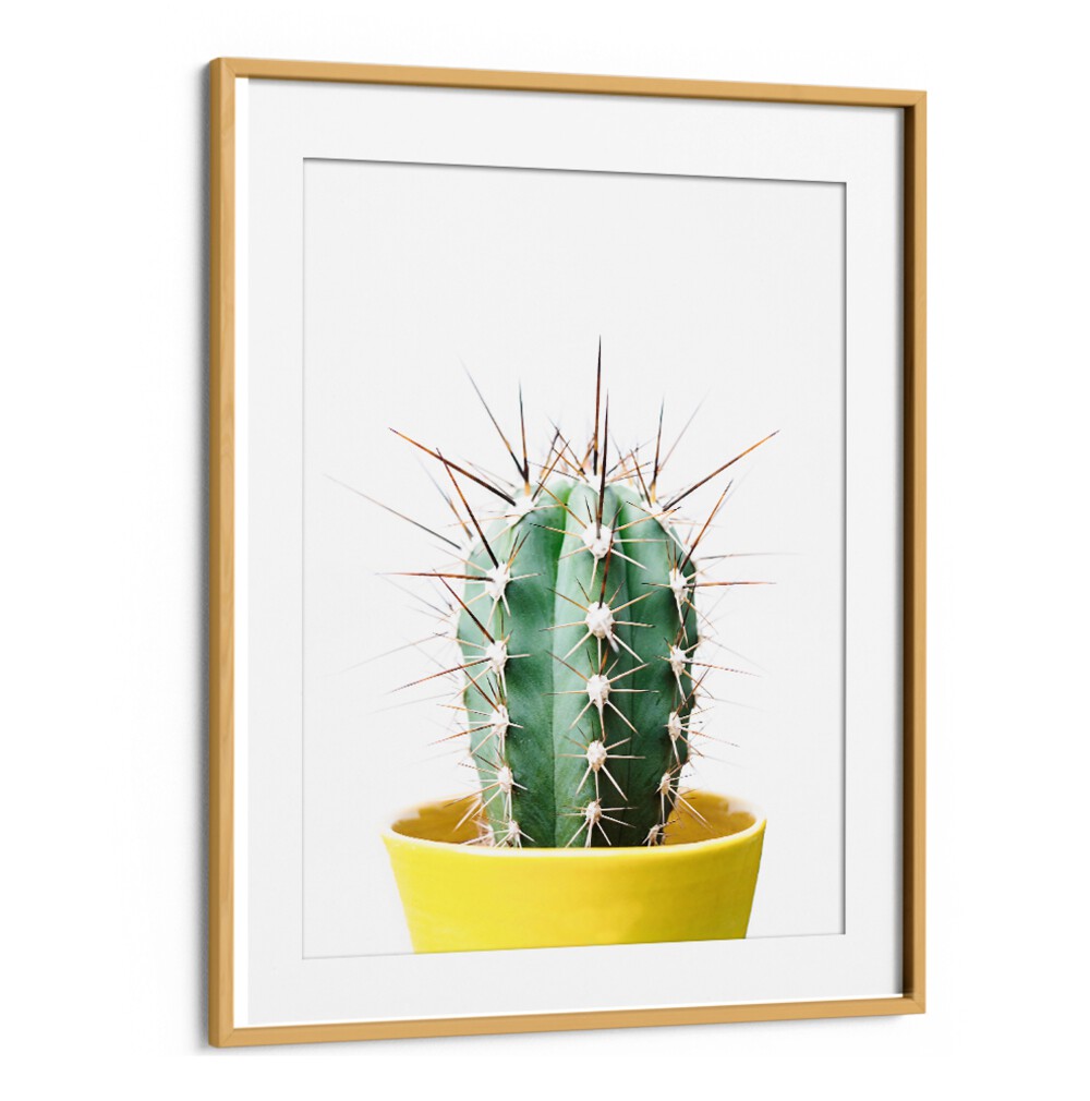 Vibrant SPIKEY CACTUS, FLORAL FLOWER PAINTINGS enhance any space with their striking beauty and low-maintenance appeal.