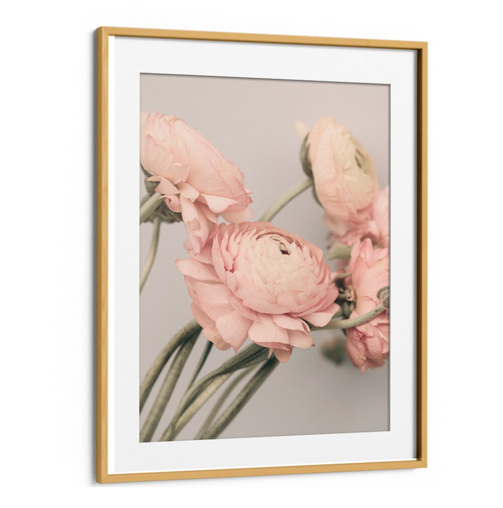 Elegant ROSE III, FLORAL FLOWER PAINTINGS featuring soft pink blooms, perfect for enhancing any decor style.