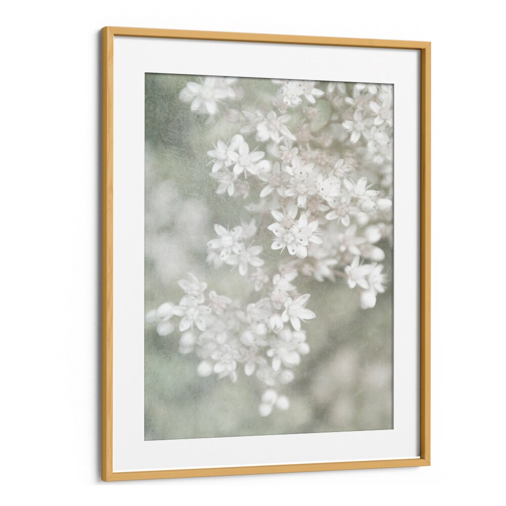 FADING, FLORAL FLOWER PAINTINGS showcase delicate white flowers in an elegant frame, perfect for any decor style.