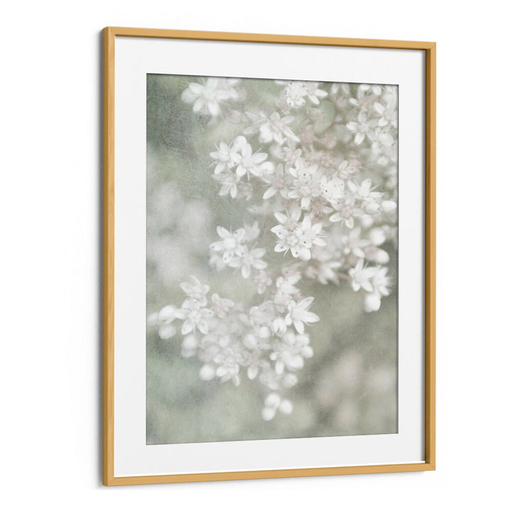 FADING, FLORAL FLOWER PAINTINGS showcase delicate white flowers in an elegant frame, perfect for any decor style.