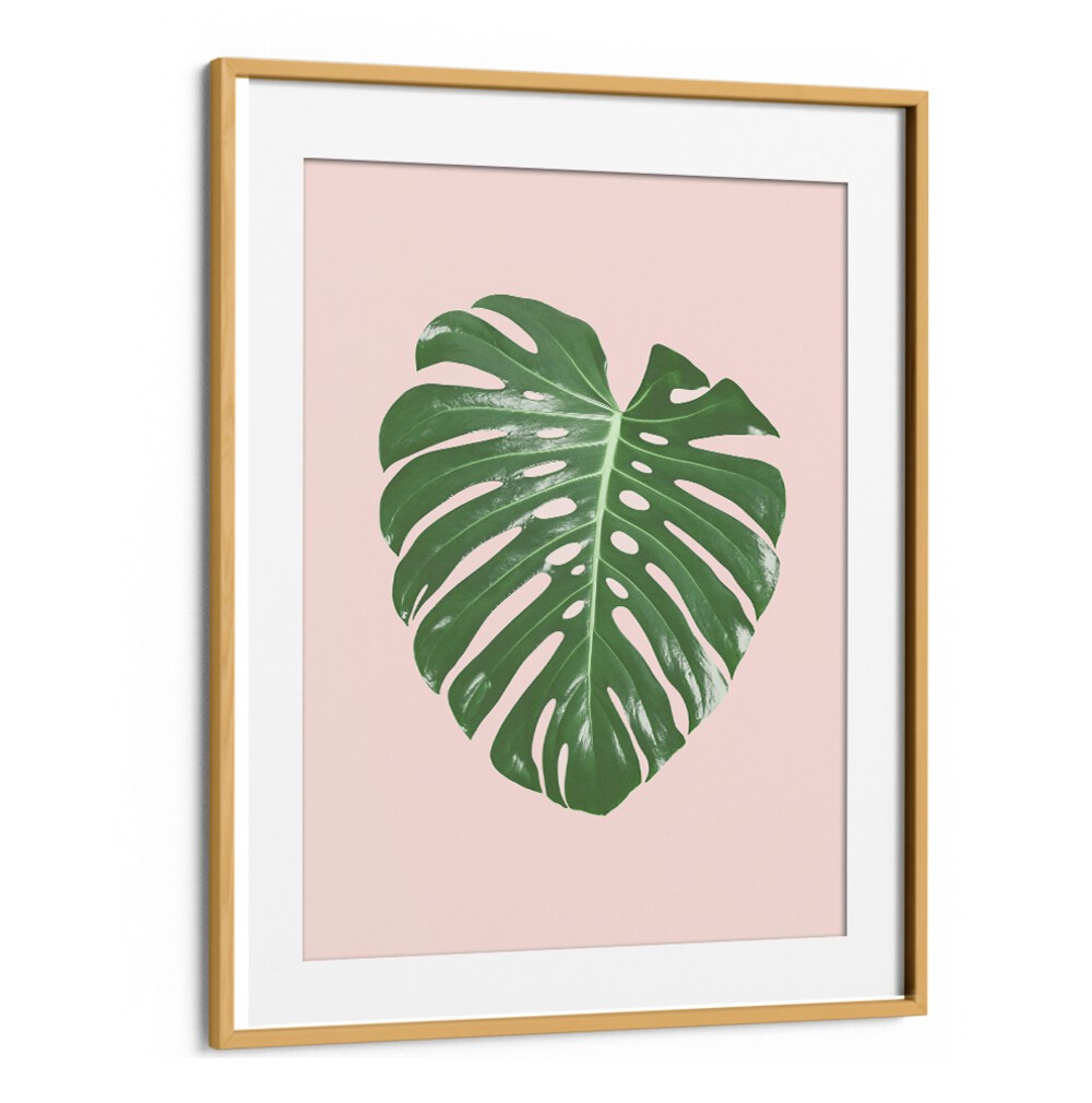 Elegant MONSTERA LEAF BLUSH, FLORAL FLOWER PAINTINGS, enhancing home decor with tropical charm and natural beauty.