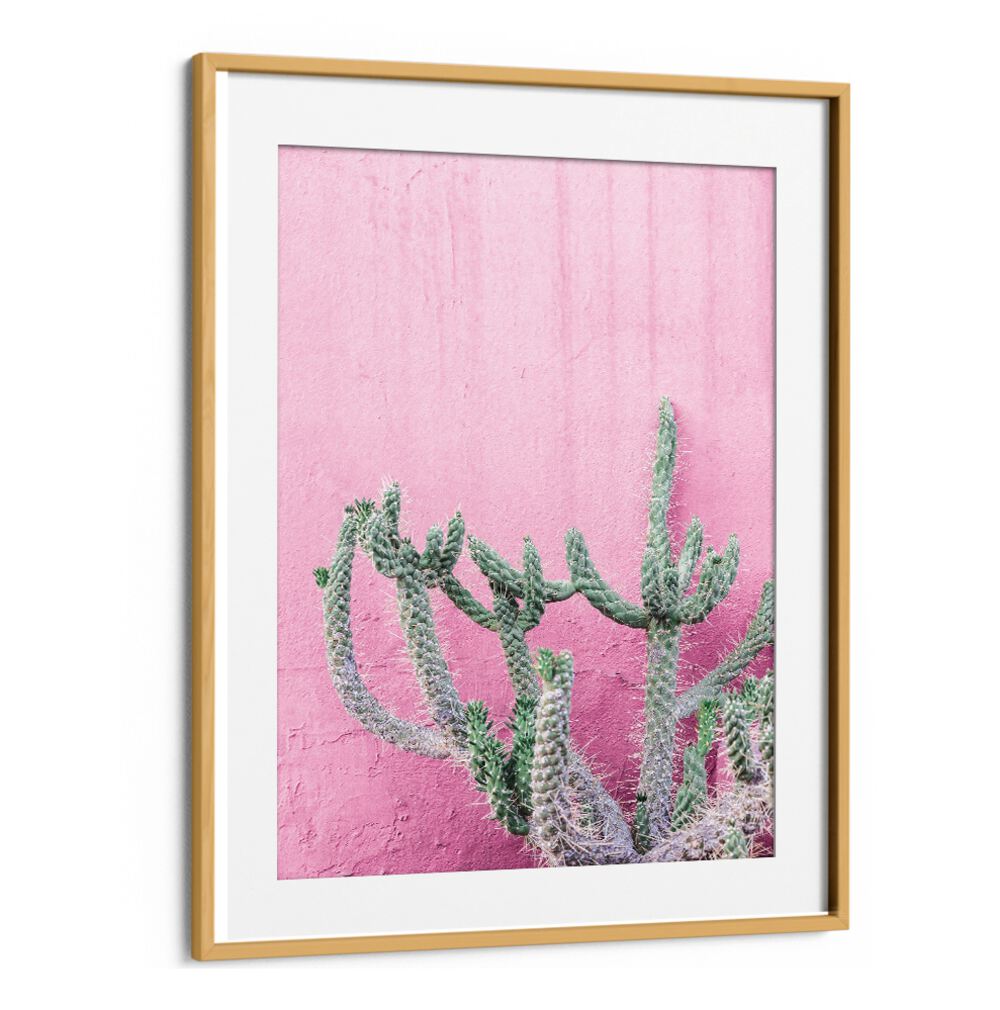 Stunning CACTUS ON PINK, FLORAL FLOWER PAINTINGS bring vibrant contrast to any space with a beautiful cactus design.