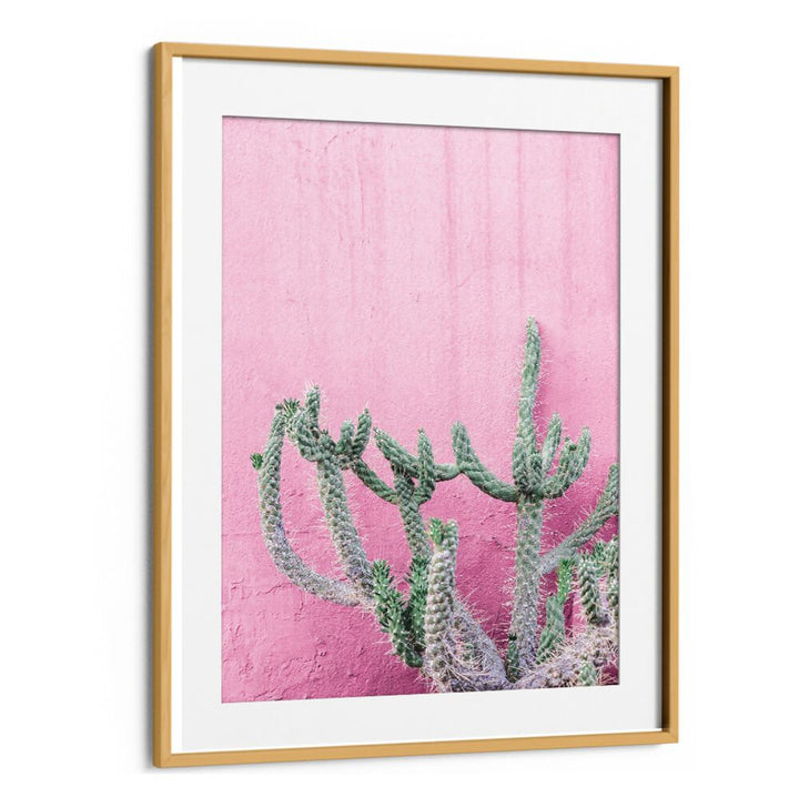 Stunning CACTUS ON PINK, FLORAL FLOWER PAINTINGS bring vibrant contrast to any space with a beautiful cactus design.